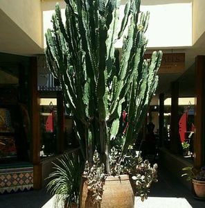 Meet your Posher, Elisa